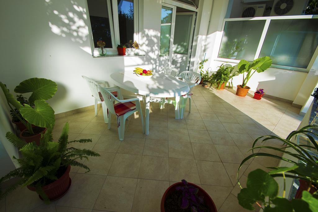 Apartmani I Sobe Grga Starigrad Paklenica Luaran gambar