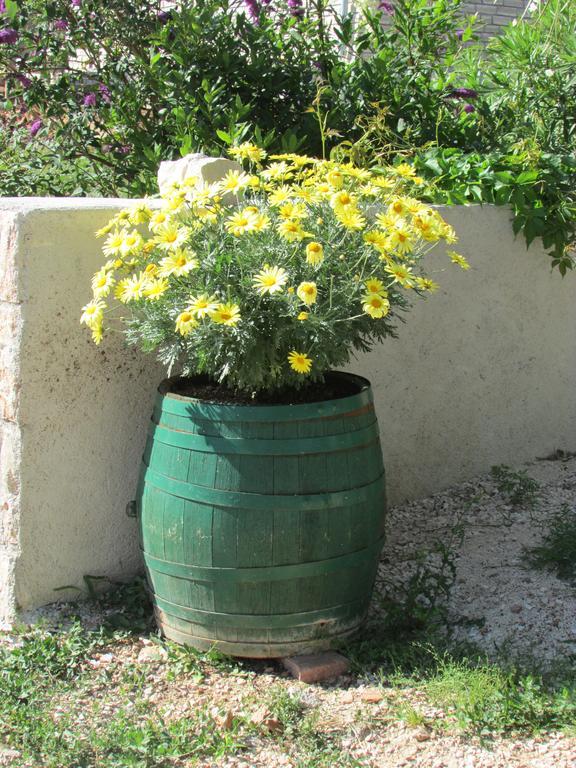 Apartmani I Sobe Grga Starigrad Paklenica Luaran gambar